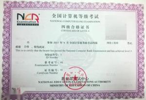 計(jì)算機(jī)網(wǎng)絡(luò)工程 計(jì)算機(jī)四級(jí)網(wǎng)絡(luò)工程師的核心實(shí)踐領(lǐng)域