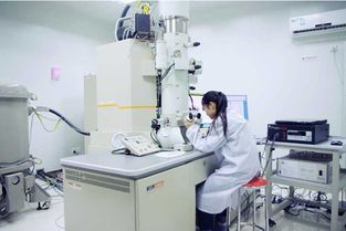 選對大學(xué)專業(yè) 中國材料科學(xué)與計(jì)算機(jī)工程強(qiáng)校對比，浙大與交大如何抉擇